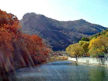 澳门天天彩期期精准平肖，屋面 楼板 墙体裂缝